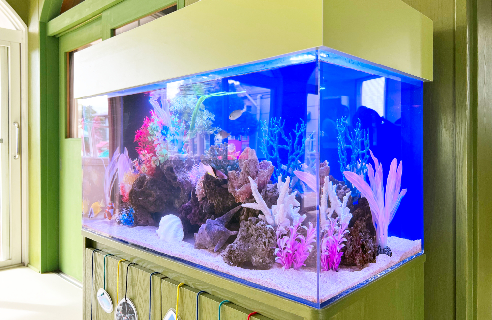 サンゴ模型と岩を配置した青い背景の大型海水魚水槽
