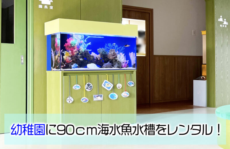 幼稚園様の90cm海水魚水槽！グリーンの水槽台と天蓋も特徴的なアクアリウム 水槽画像１