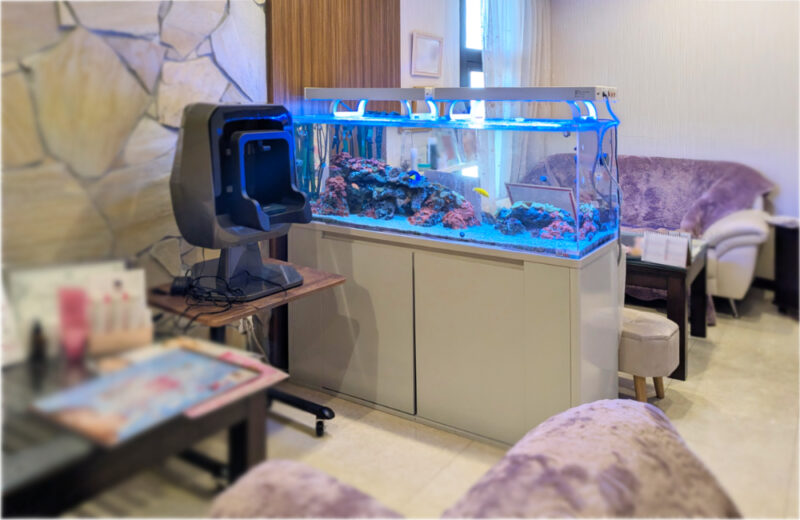 美容サロン様の120cm海水魚水槽・10年目の様子!美しく安定した水槽です 水槽画像2