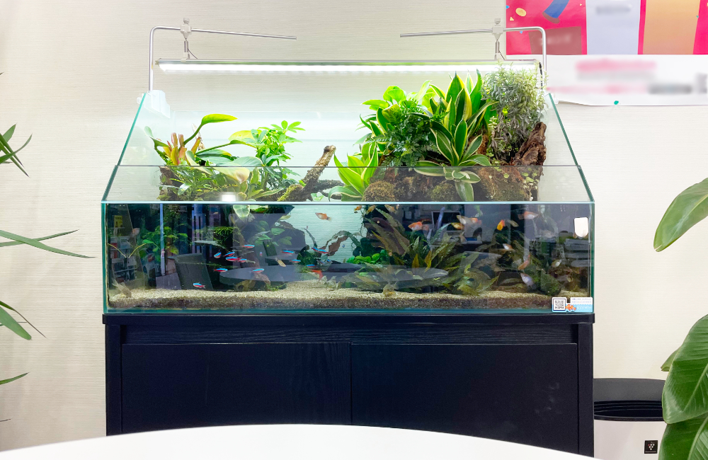 水草や観葉植物が茂るアクアテラリウム水槽と熱帯魚群