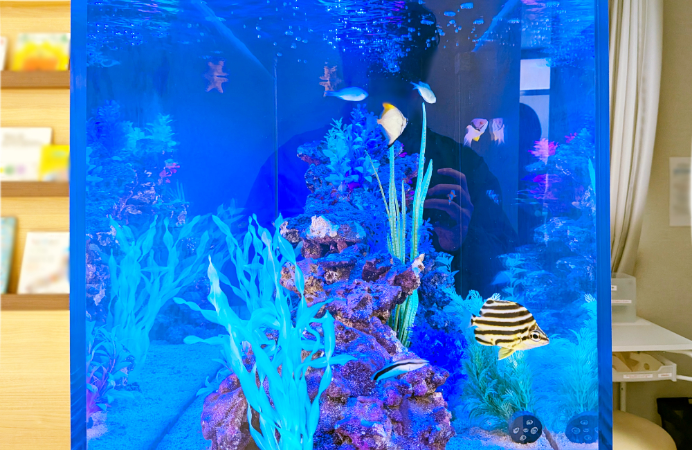 青い照明の海水魚水槽と泳ぐ熱帯魚や人工水草のレイアウト