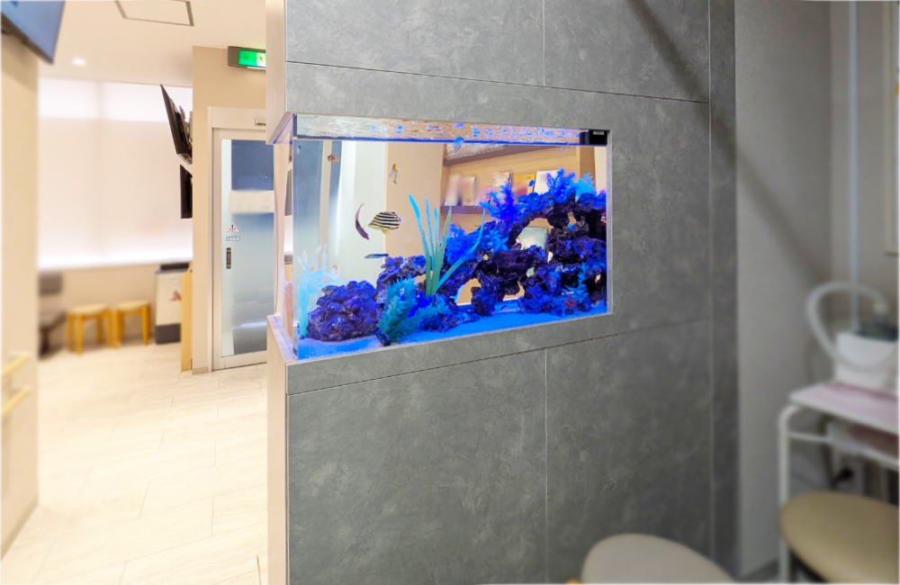 壁に埋め込まれた青い照明の海水魚水槽と待合室の風景