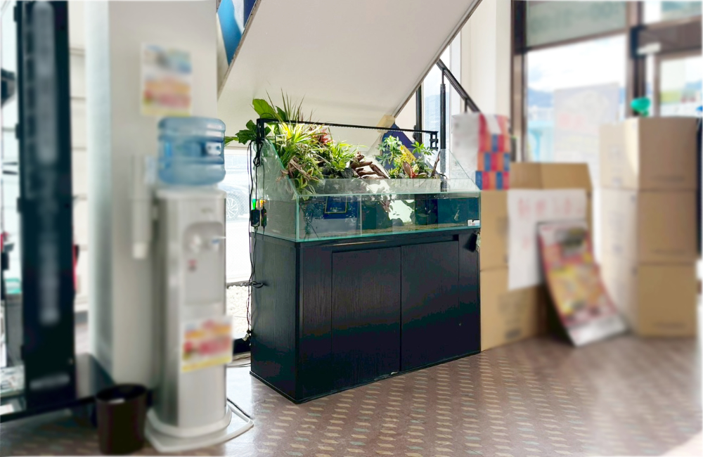 店舗に設置された大型アクアテラリウム水槽と黒い水槽台