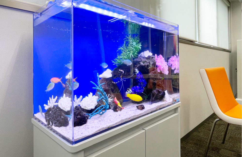 青い背景に海水魚とサンゴを配置した室内水槽