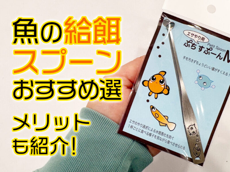 魚の給餌スプーン5選!ボトルや小型水槽で使うメリットなどを紹介します