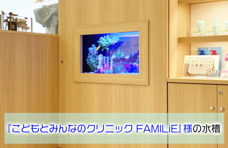 こどもとみんなのクリニック FAMILiE様に60cm海水魚水槽をレンタル！ 水槽画像１