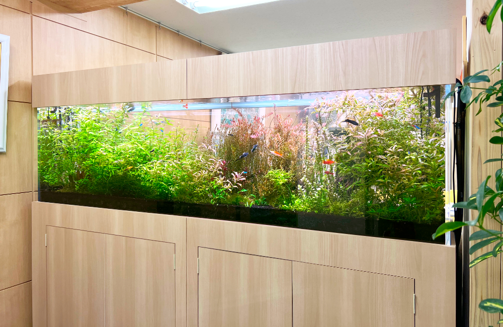 木目調の大型水槽台に設置された水草の生い茂る水槽