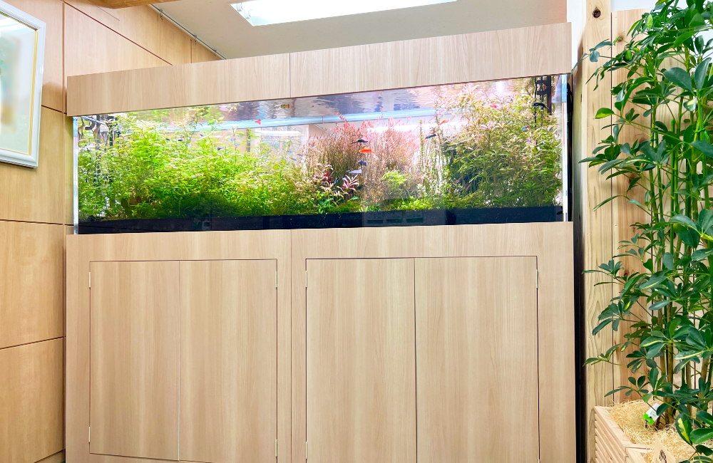 木目調の大型水槽台に設置された水草の茂る横長水槽