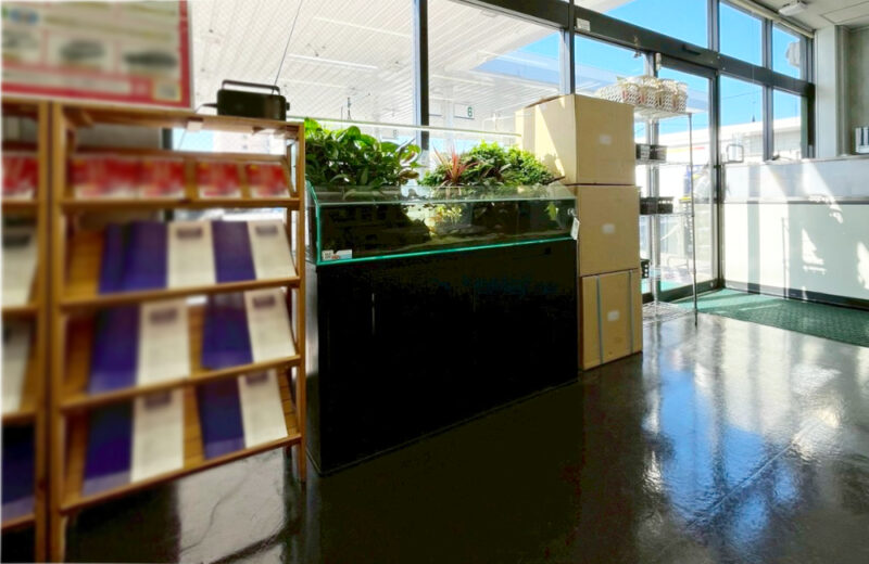 店舗様に観葉植物の癒し！90cmアクアテラリウム水槽 水槽画像４