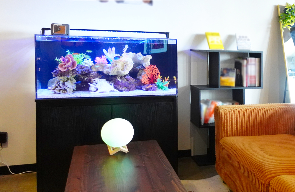 リビングに設置されたサンゴ岩のある海水魚水槽