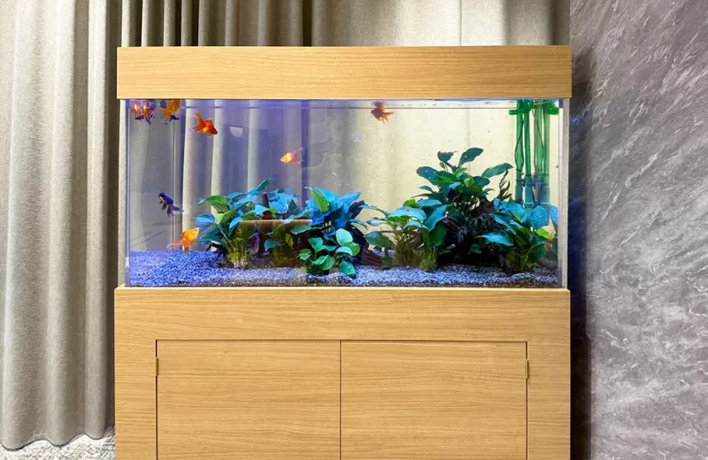 木目調の水槽台に設置された金魚と水草のアクアリウム
