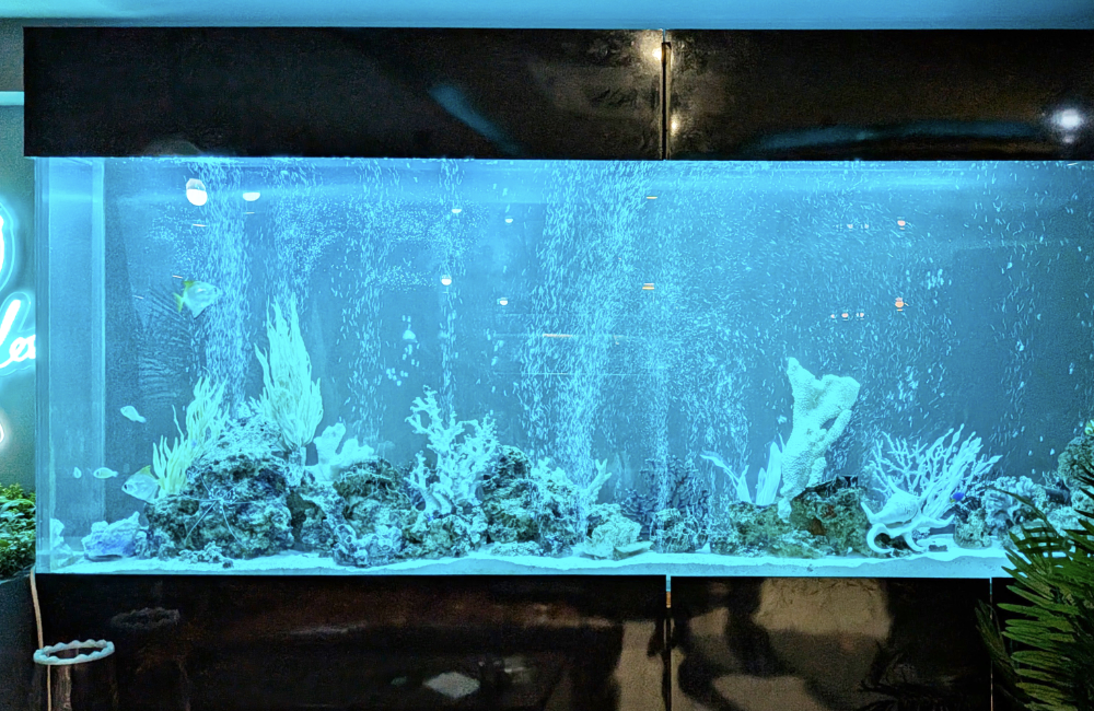 青い照明と気泡が舞う大型海水魚水槽のレイアウト