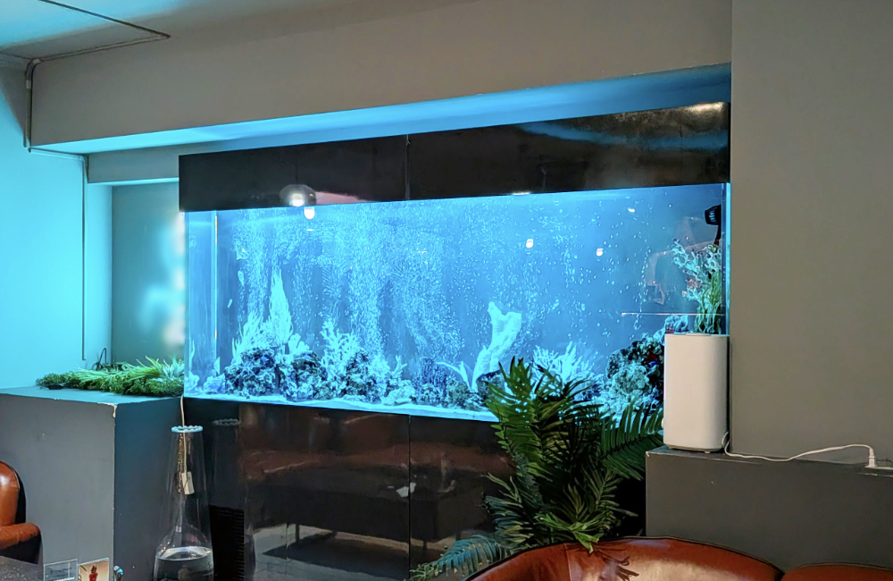 青い照明が灯る大型海水魚水槽と室内の観葉植物
