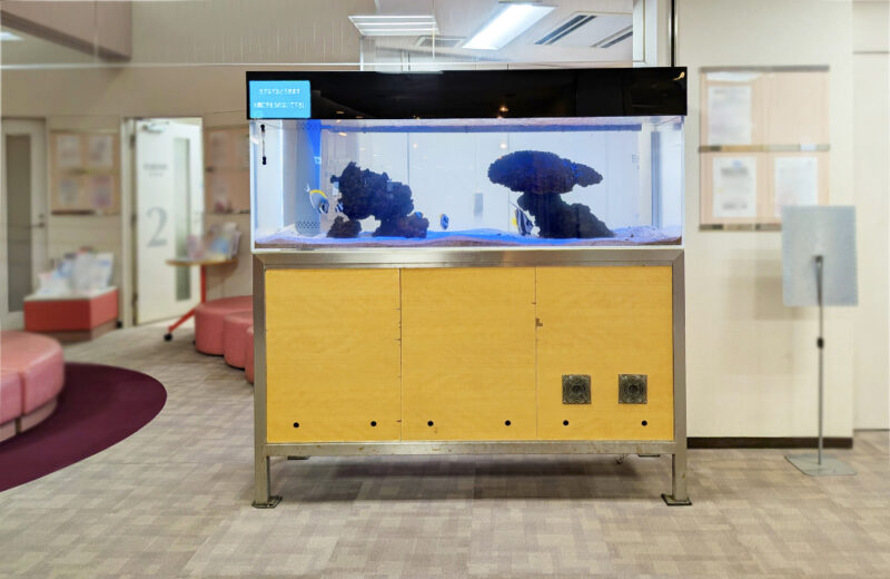 病院様の大型海水魚水槽をメンテナンス!その1・パウダーブルータンが泳ぐ水槽 水槽画像2