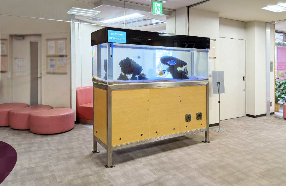 オフィスロビーに設置された大型の海水魚水槽