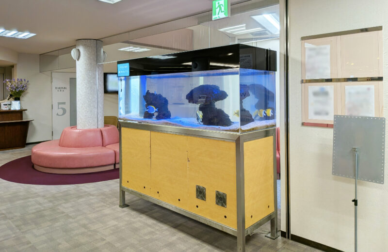 病院様の大型海水魚水槽をメンテナンス!その1・パウダーブルータンが泳ぐ水槽 水槽画像4