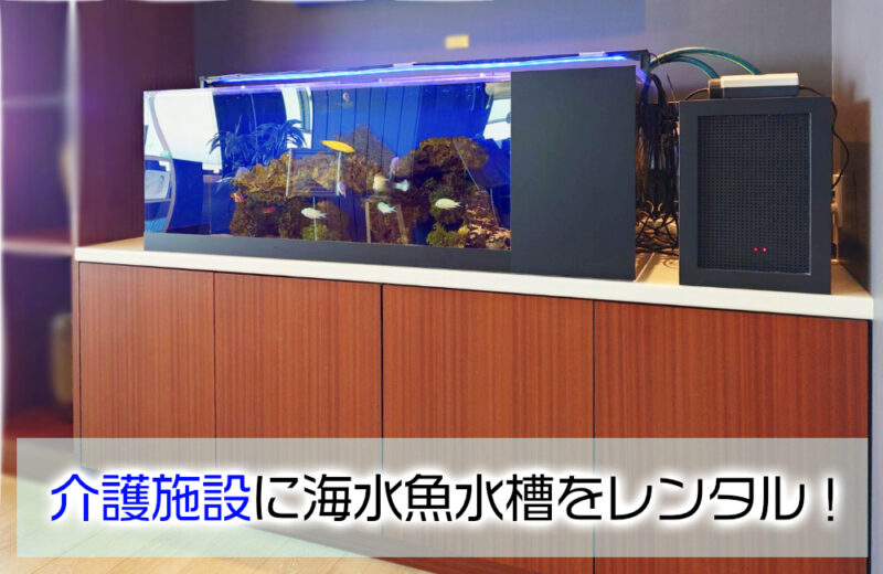 介護施設様に海水魚水槽をレンタル!木目の水槽台と調和する120cm海水魚水槽サムネイル