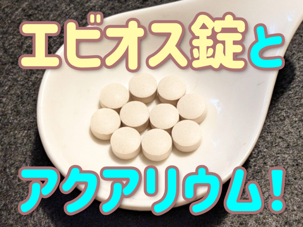 エビオス錠のアクアリウム活用法!微生物の餌・似た効果のアイテムも紹介のサムネイル画像