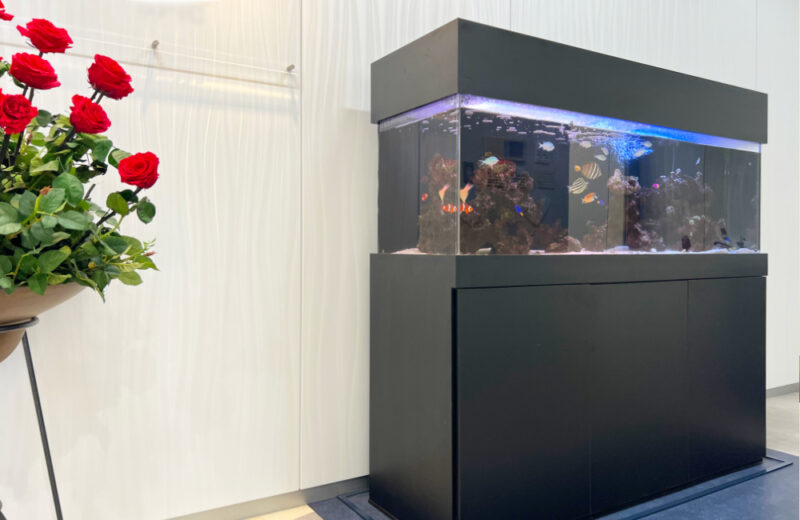 企業様に150cm大型水槽を販売・メンテナンス!エントランスの海水魚たち 水槽画像2