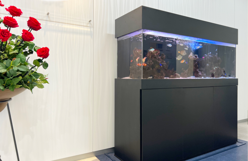 黒い水槽台に設置された海水魚水槽と赤いバラの花束