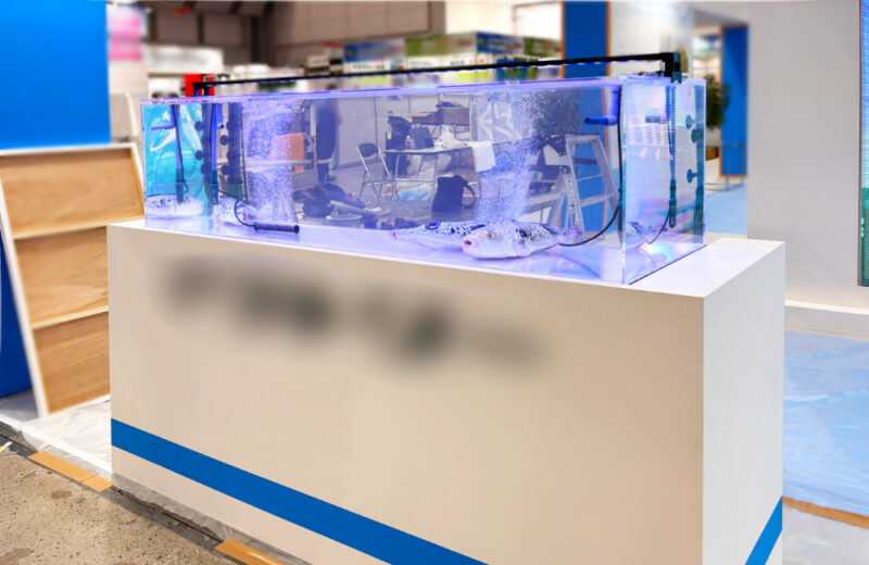 展示会の企業ブースにいけす水槽を短期レンタル!養殖フグを展示するイベント水槽 水槽画像2