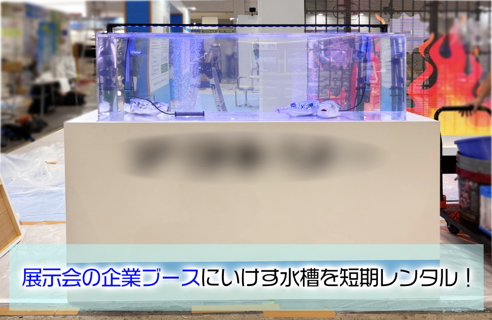 展示会の企業ブースにいけす水槽を短期レンタル!養殖フグを展示するイベント水槽