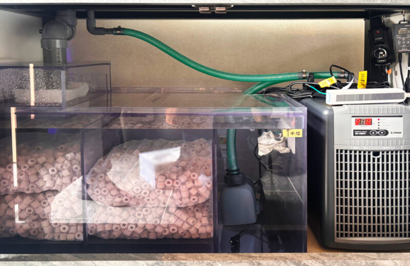 個人宅様に特注アロワナ水槽一式を販売・設置！120cm水槽をオーダーメイド 水槽画像３