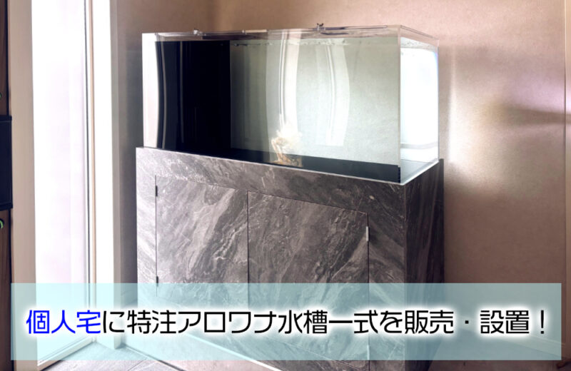 個人宅様に特注アロワナ水槽一式を販売・設置！120cm水槽をオーダーメイドサムネイル