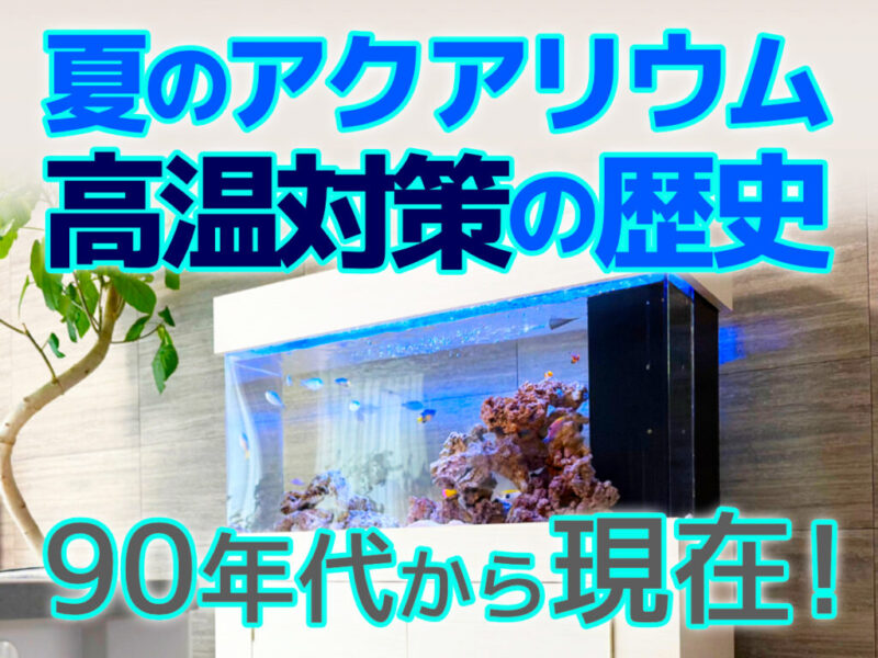 夏のアクアリウム・高温対策の歴史！90年代から現在の水槽冷却法を紹介サムネイル