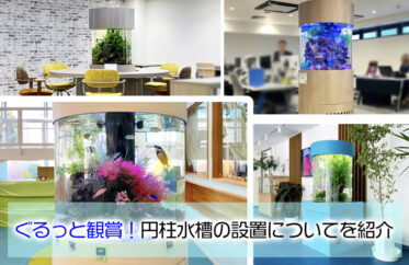 円柱水槽の設置事例を紹介する画像