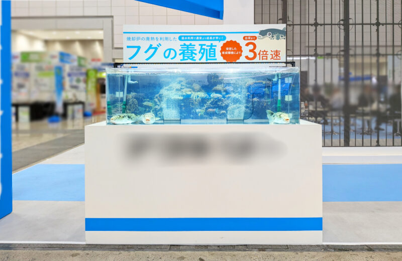 東京ビッグサイトのイベントブースにフグ展示用いけす水槽を短期レンタル! 水槽画像5