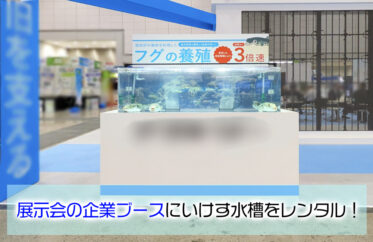 展示会の企業ブースに水槽をレンタル