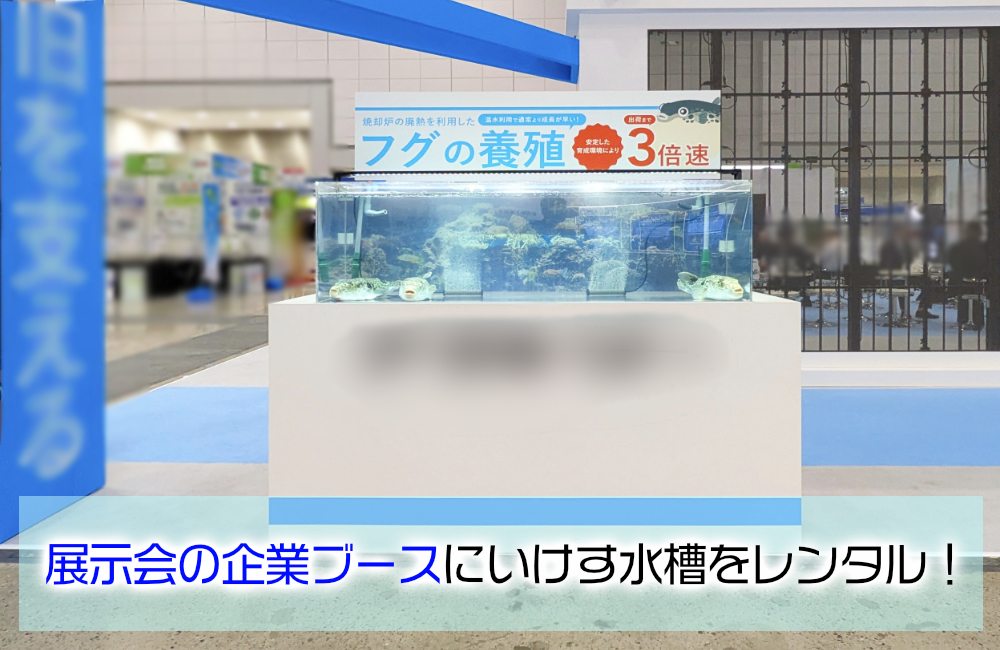 東京ビッグサイトのイベントブースにフグ展示用いけす水槽を短期レンタル！