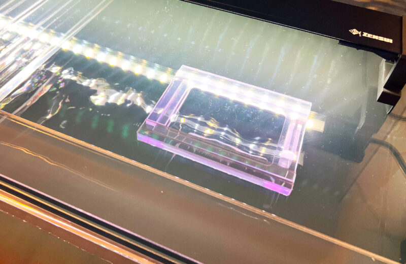 個人宅に180cmアロワナ水槽をオーダーメイド販売！横浜市へ特注水槽一式を設置 水槽画像３
