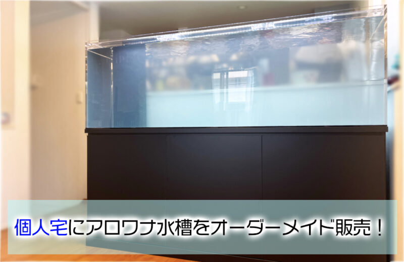 個人宅に180cmアロワナ水槽をオーダーメイド販売！横浜市へ特注水槽一式を設置サムネイル
