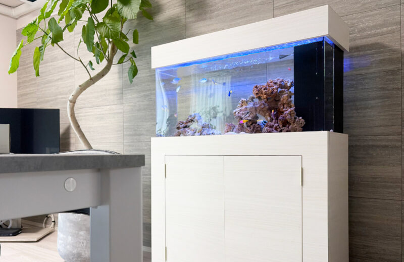 個人宅様の90cm海水魚水槽・その後!キャノピーを追加して一体感がアップ 水槽画像4