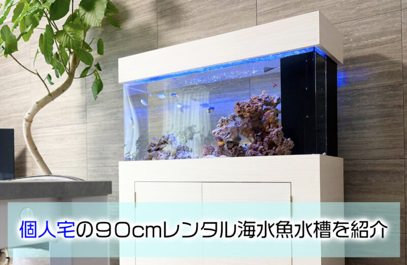 個人宅様の90cm海水魚水槽・その後！キャノピーを追加して一体感がアップサムネイル