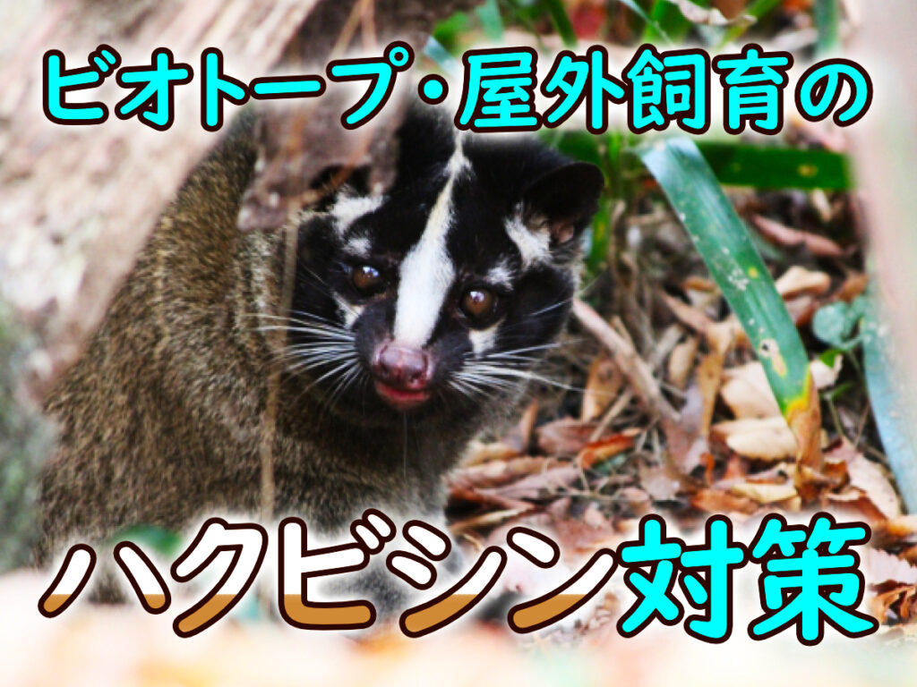 屋外飼育のハクビシン対策！ビオトープに近づく理由と被害・対策を紹介のサムネイル画像