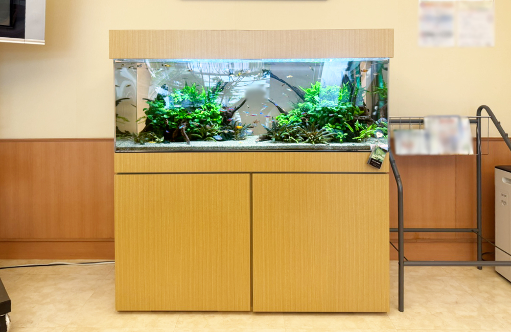 木製キャビネットに設置された水槽と水草