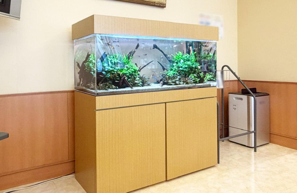 木製キャビネットに設置された水槽と水草