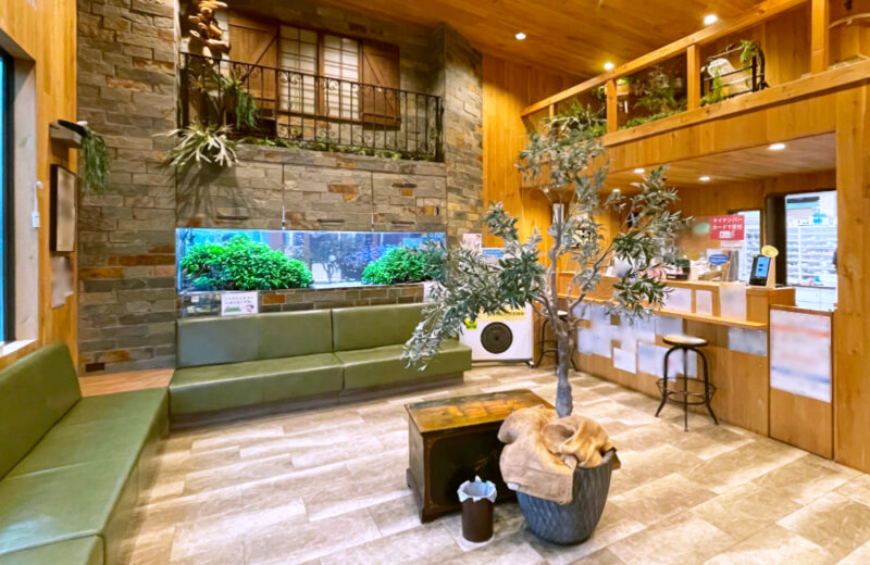 薬局様の2.6m埋め込み水槽を定期メンテナンス！群泳が美しい大型アクアリウム 水槽画像５