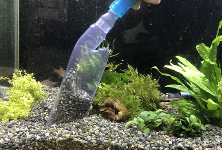 水槽の底砂を掃除するクリーナーの画像