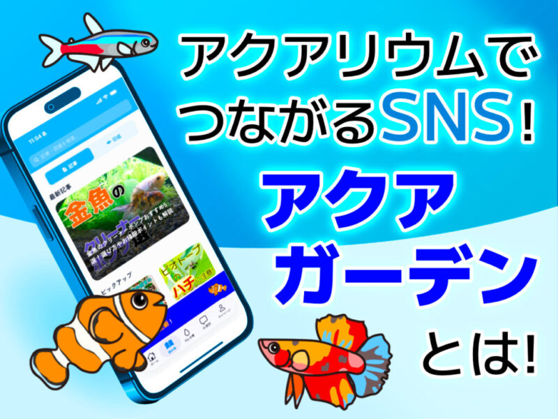 写真でつながるアクアリウムSNS!東京アクアガーデン公式アプリが登場サムネイル