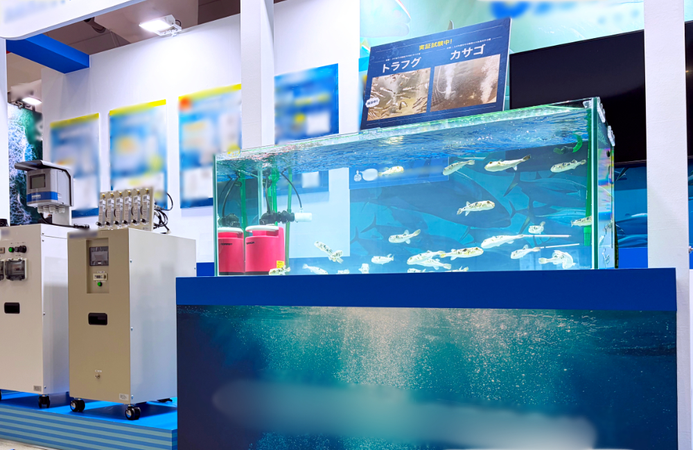 水槽に多数のフグが泳ぐ展示水槽