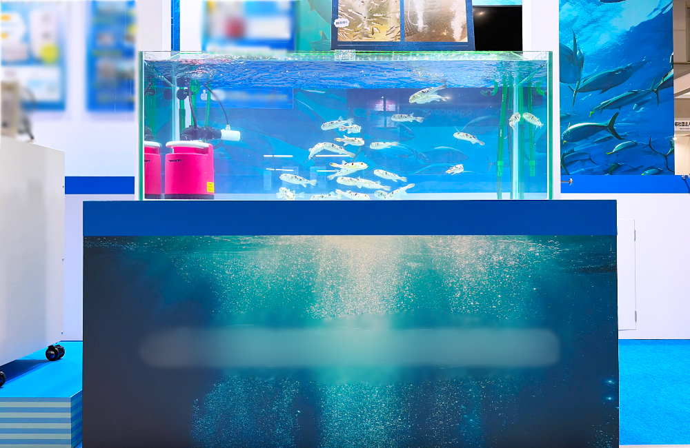 水槽内の魚と水中映像のバブル