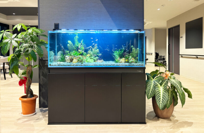 福岡市の介護施設に120cm熱帯魚水槽をレンタル!小型魚が泳ぐ癒しのエントランス 水槽画像2