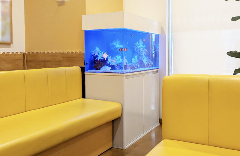 耳鼻科クリニック様の90cm海水魚水槽！待合スペースの爽やかなアクアリウム 水槽画像３