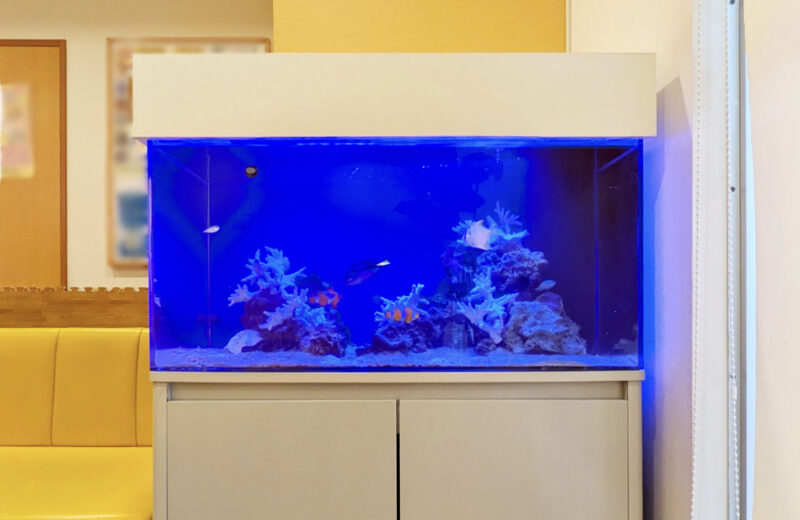 耳鼻科クリニック様の90cm海水魚水槽！待合スペースの爽やかなアクアリウム 水槽画像２