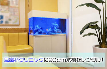 耳鼻科クリニックに90cm水槽をレンタル！の見出し画像