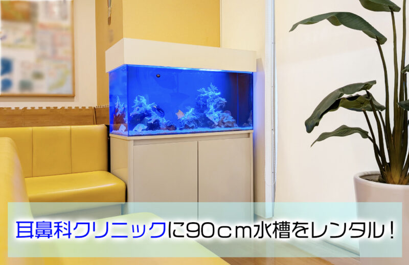 耳鼻科クリニック様の90cm海水魚水槽!待合スペースの爽やかなアクアリウムサムネイル